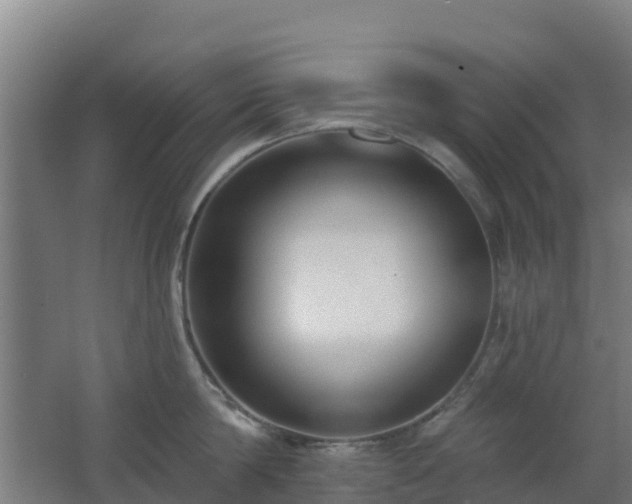 X0000062610814200512230918