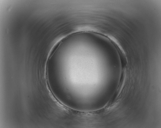 X0000062610815200512230918