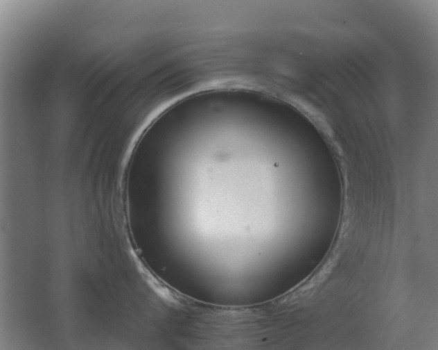 X0000062610816200512230918