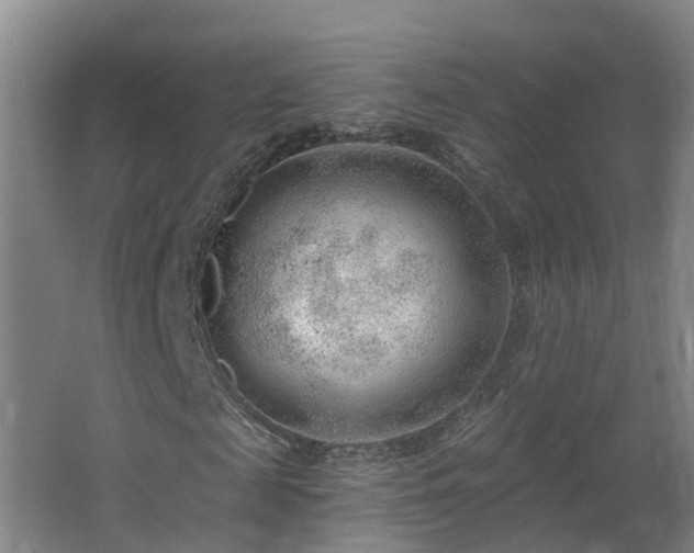 X0000062610817200512230917