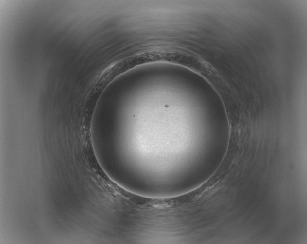 X0000062610822200512230917