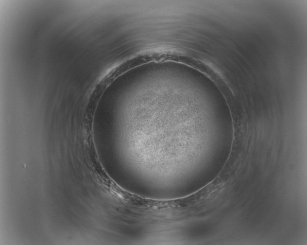 X0000062610823200512230917