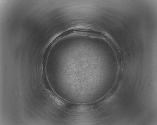 X0000062610829200512230917