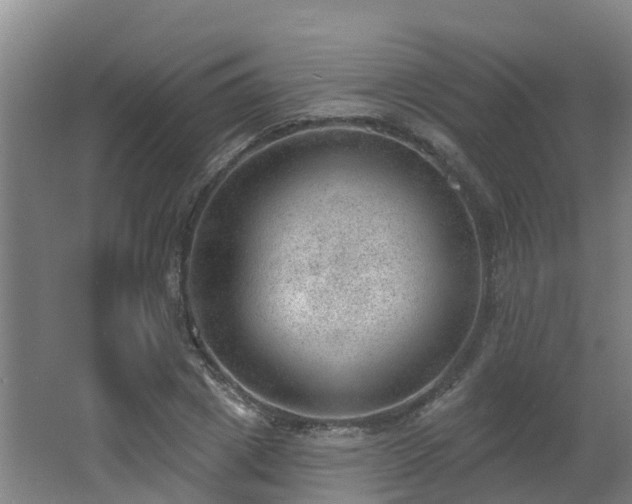 X0000062610833200512230917