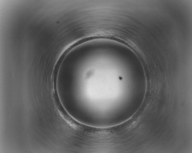 X0000062610838200512230917