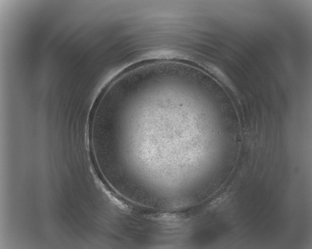 X0000062610839200512230917