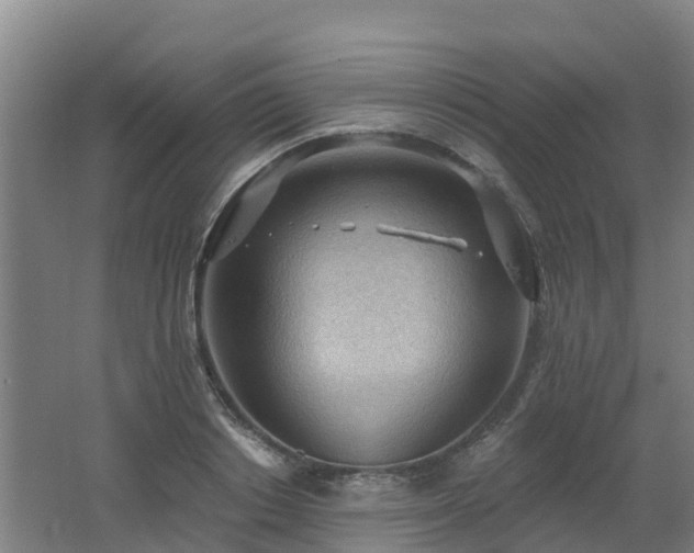 X0000062610842200512230917