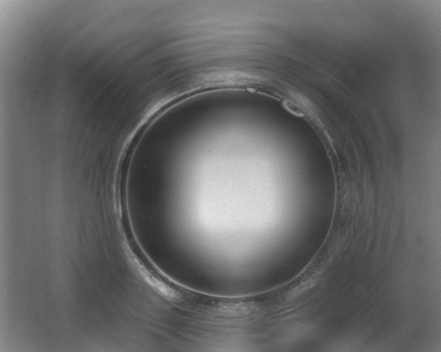 X0000062610843200512230917