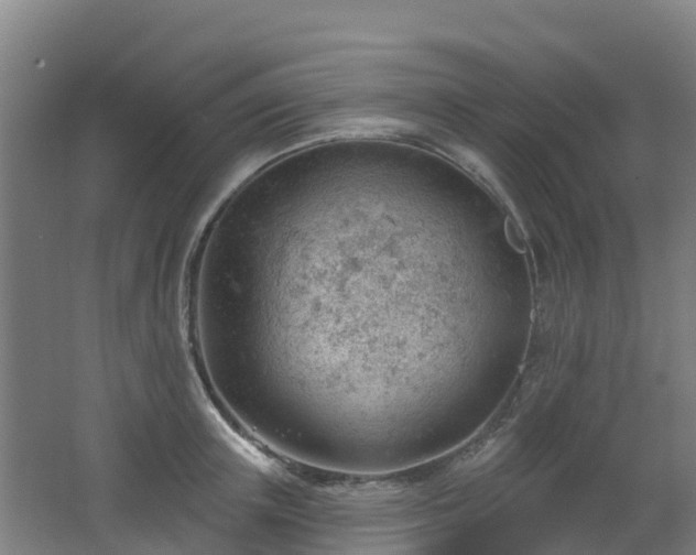 X0000062610851200512230917