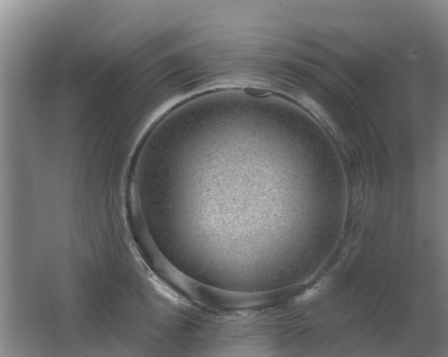 X0000062610854200512230917