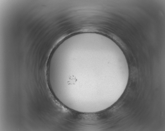 X0000062610856200512230917