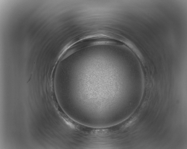 X0000062610858200512230918