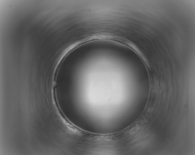 X0000062610861200512230918