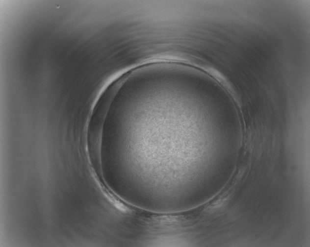 X0000062610862200512230918