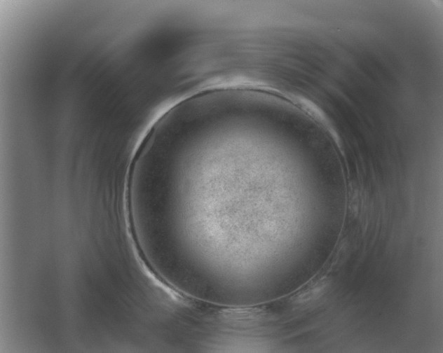 X0000062610863200512230918