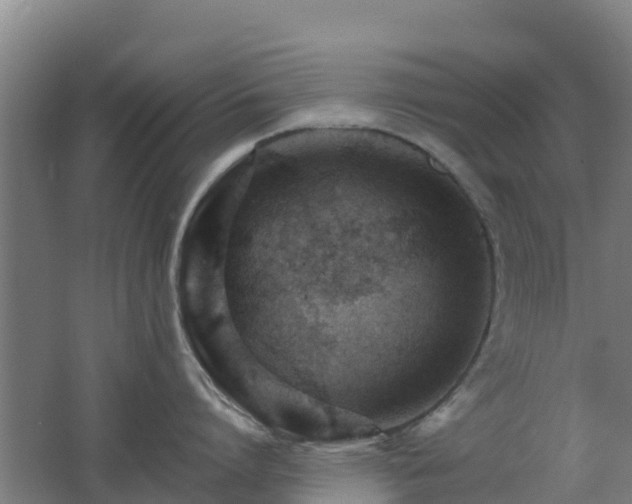 X0000062610864200512230918