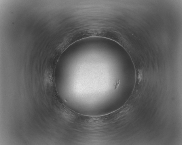 X0000062610867200512230917