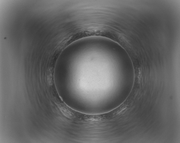 X0000062610868200512230917