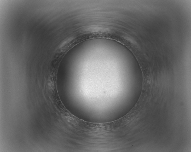 X0000062610869200512230917