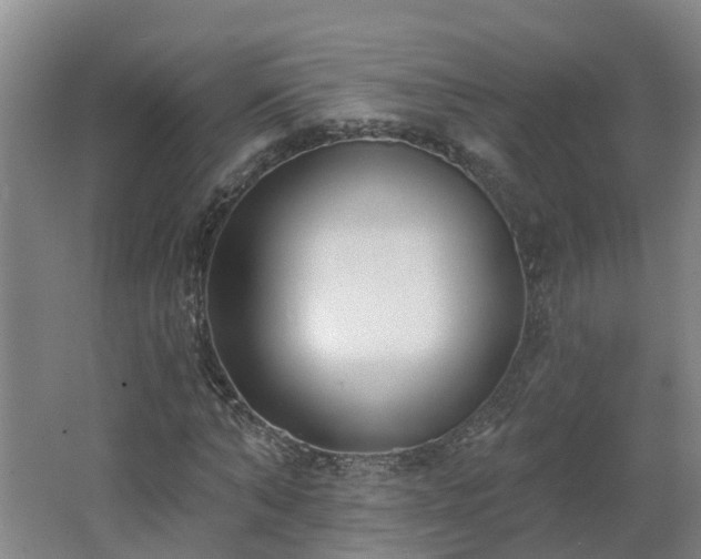 X0000062610870200512230917