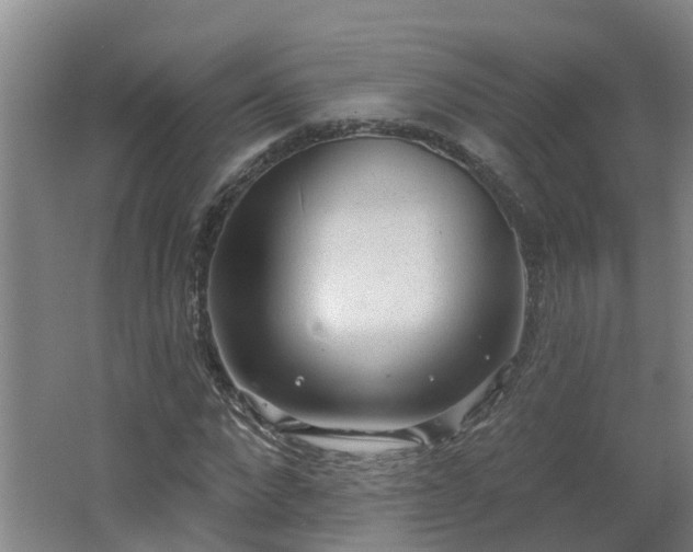 X0000062610872200512230917