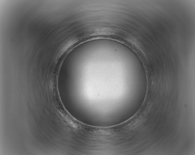 X0000062610874200512230917