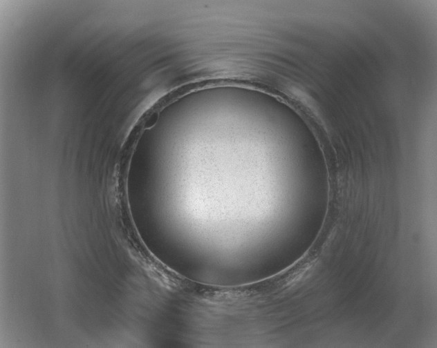 X0000062610875200512230917