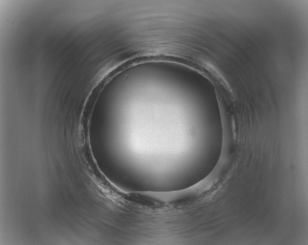 X0000062610876200512230917