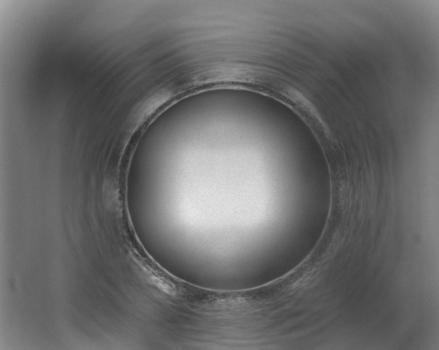 X0000062610882200512230916