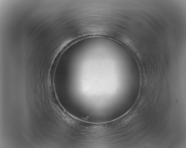 X0000062610883200512230916