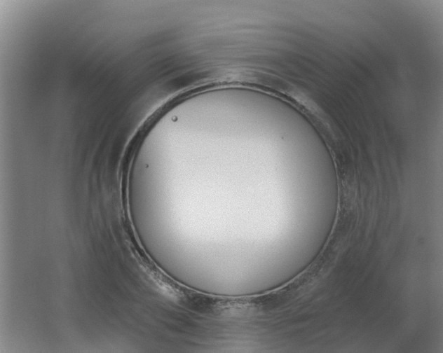 X0000062610886200512230916