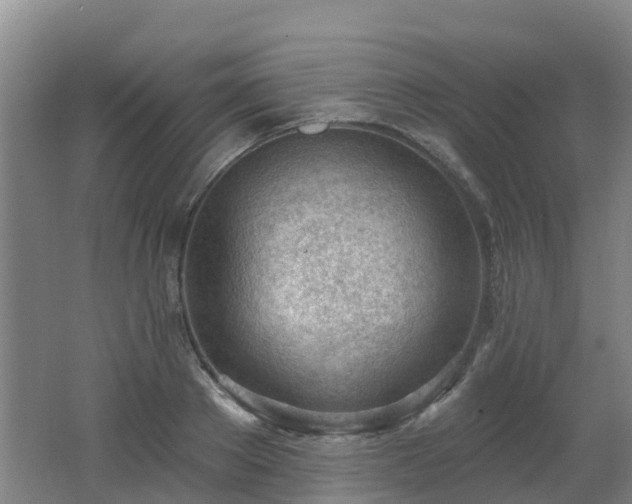 X0000062610889200512230916