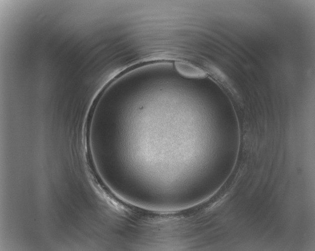 X0000062610892200512230916