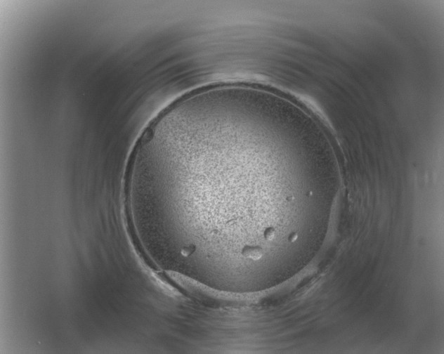 X0000062610895200512230916