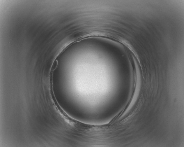 X0000062610898200512230916