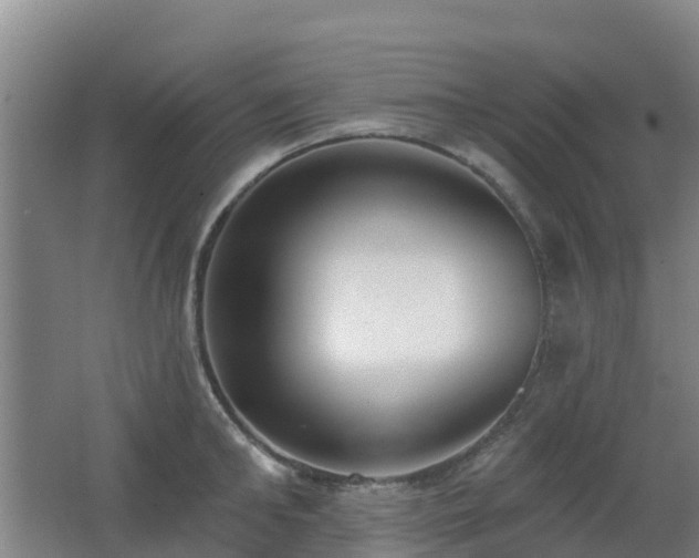 X0000062610902200512230916