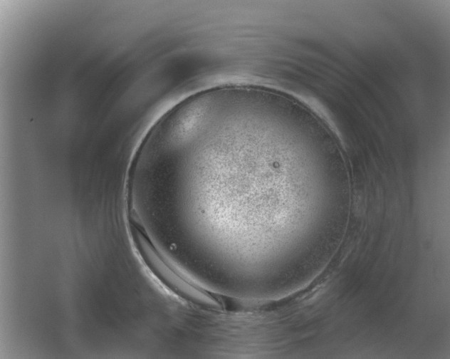 X0000062610903200512230916