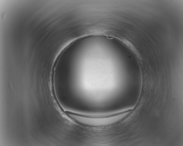 X0000062610904200512230916