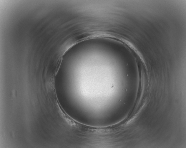 X0000062610905200512230916