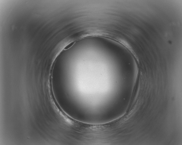 X0000062610906200512230916