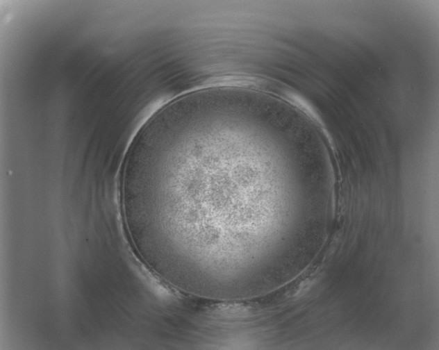 X0000062610907200512230916