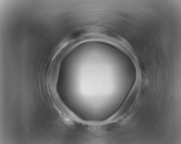 X0000062610909200512230916