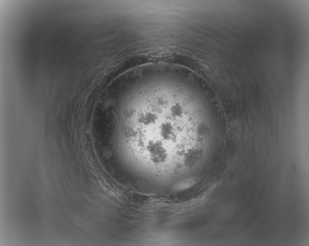 X0000062610913200512230915