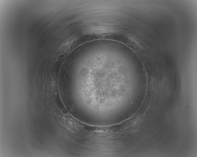 X0000062610917200512230915