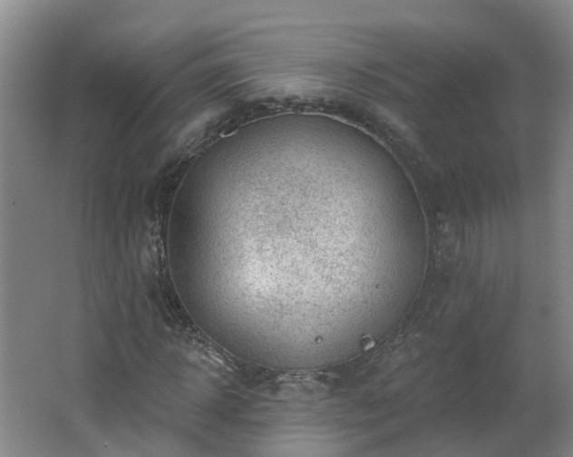 X0000062610918200512230915