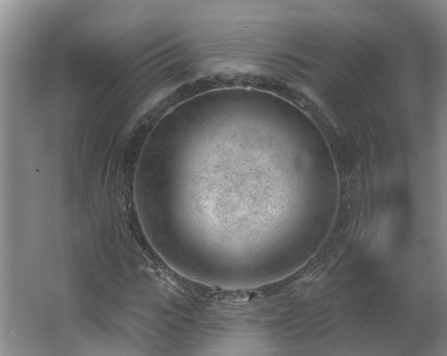 X0000062610919200512230915