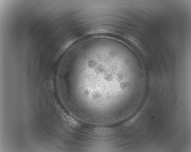 X0000062610921200512230915