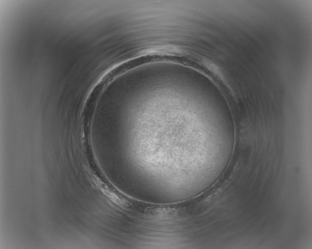 X0000062610923200512230915