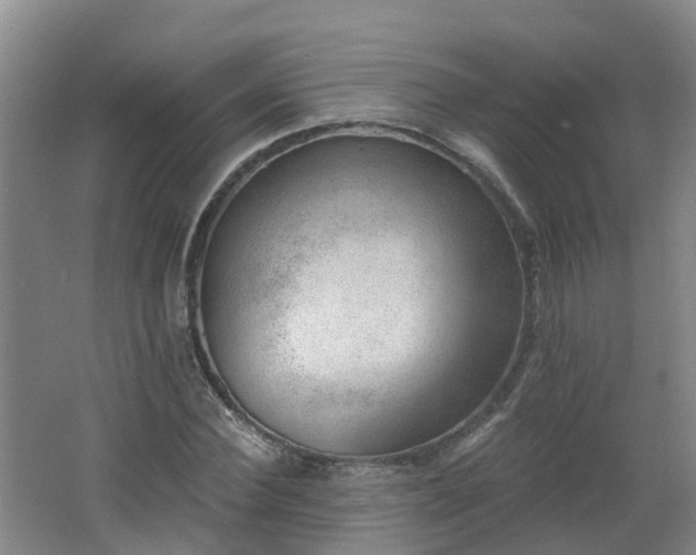 X0000062610924200512230915