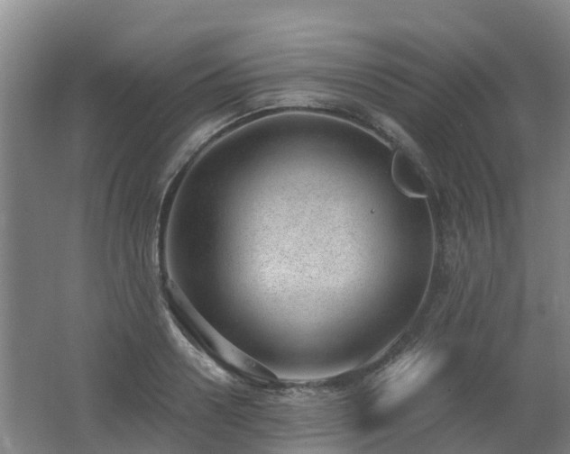 X0000062610938200512230916